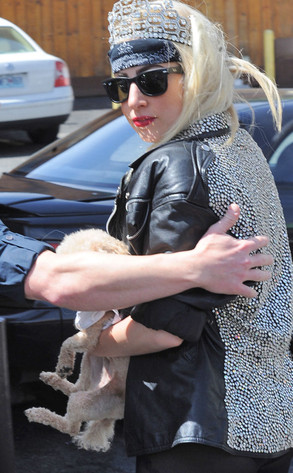 Lady Gaga Lady Gaga